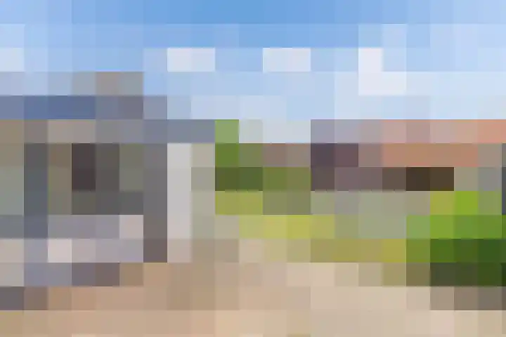 Het Kompas 17 Dronten thumbnail 19
