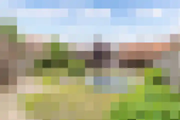 Het Kompas 17 Dronten thumbnail 20