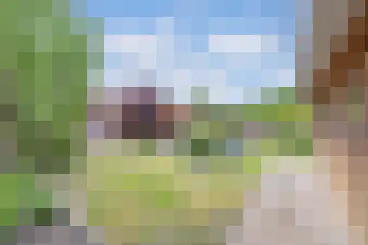 Het Kompas 17 Dronten thumbnail 22