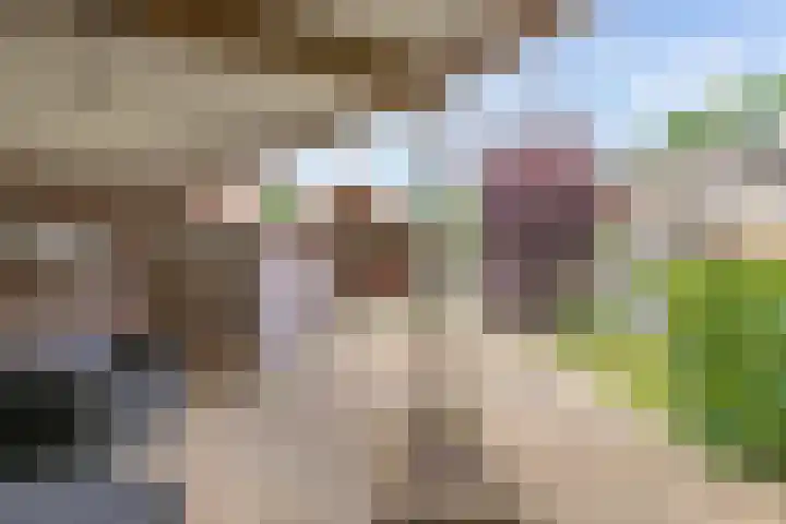 Het Kompas 17 Dronten thumbnail 24
