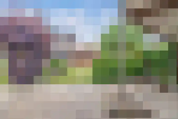Het Kompas 17 Dronten thumbnail 25