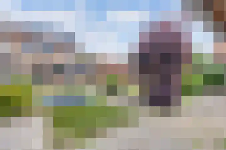 Het Kompas 17 Dronten thumbnail 26