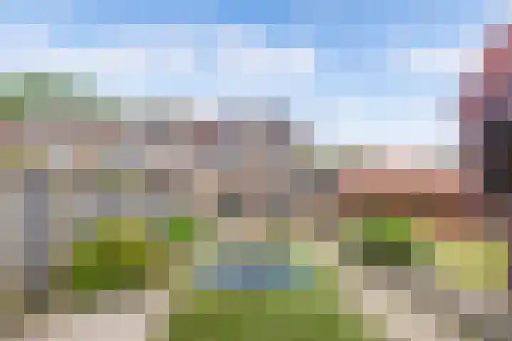 Het Kompas 17 Dronten thumbnail 27