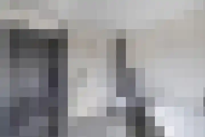 Het Kompas 17 Dronten thumbnail 38