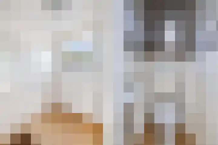Het Kompas 17 Dronten thumbnail 4