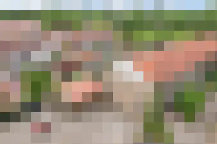 Het Kompas 17 Dronten thumbnail 46