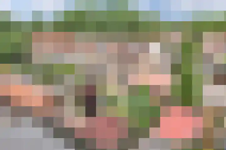 Het Kompas 17 Dronten thumbnail 47