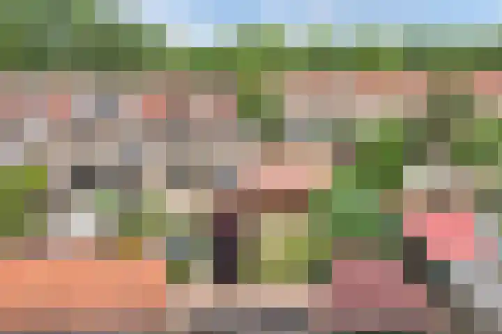 Het Kompas 17 Dronten thumbnail 48