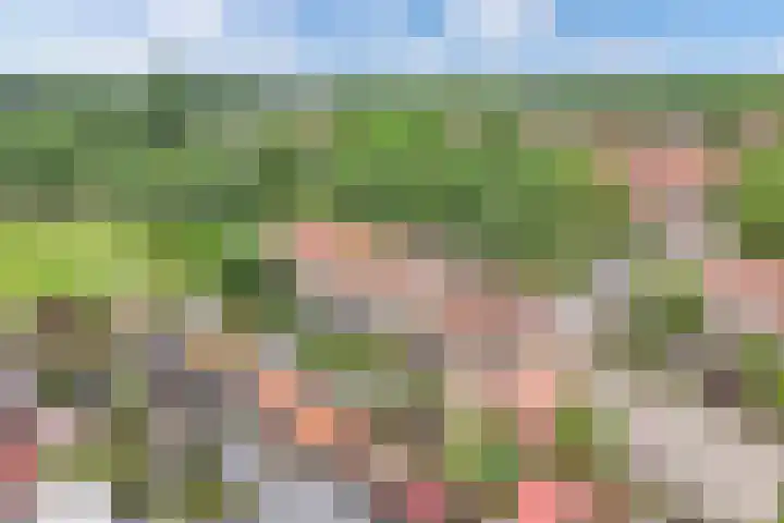 Het Kompas 17 Dronten thumbnail 49