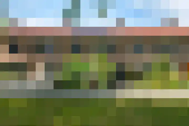 Het Kompas 50 in Dronten