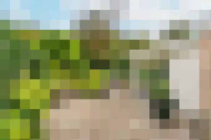 Het Kompas 7 Amersfoort thumbnail 4