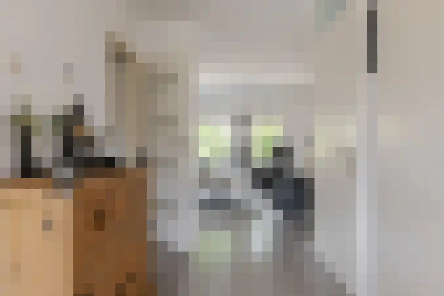 Het Korbeel 2 Borger thumbnail 11