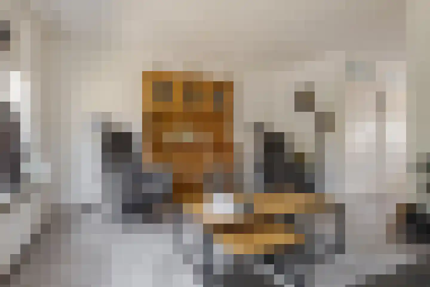Het Korbeel 2 Borger thumbnail 16