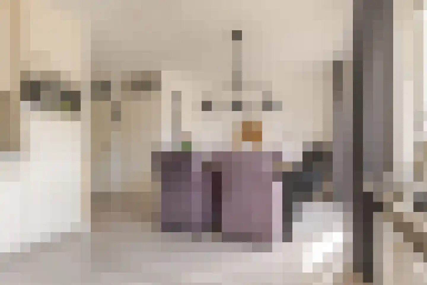 Het Korbeel 2 Borger thumbnail 20