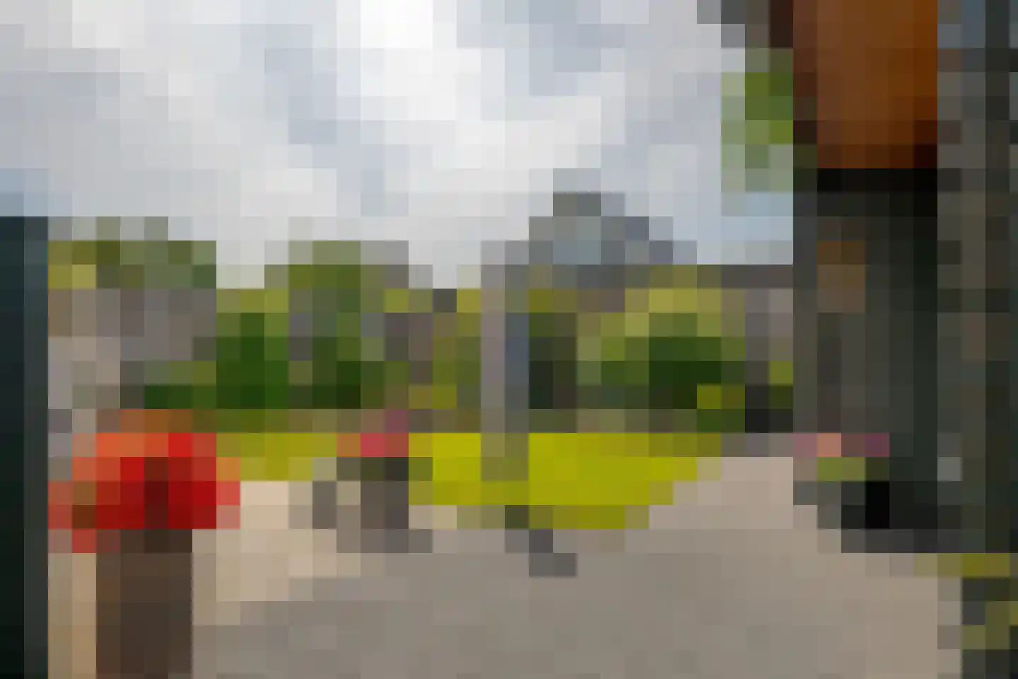 Het Korbeel 2 Borger foto 3