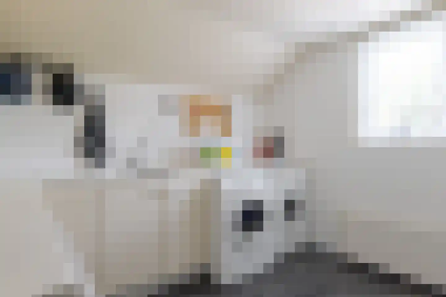 Het Korbeel 2 Borger thumbnail 34