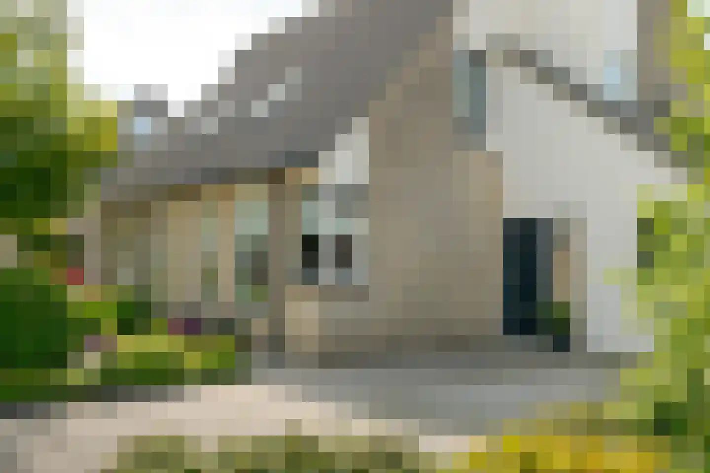 Het Korbeel 2 Borger thumbnail 7