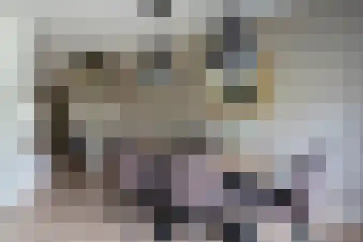 Het Korbeel 8 Borger thumbnail 10