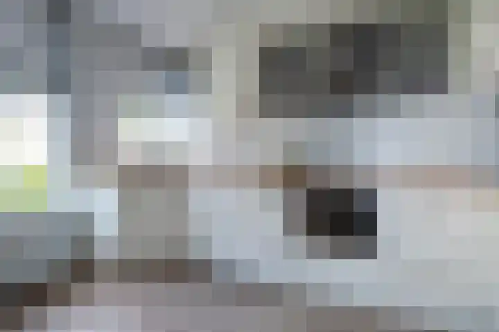 Het Korbeel 8 Borger thumbnail 11