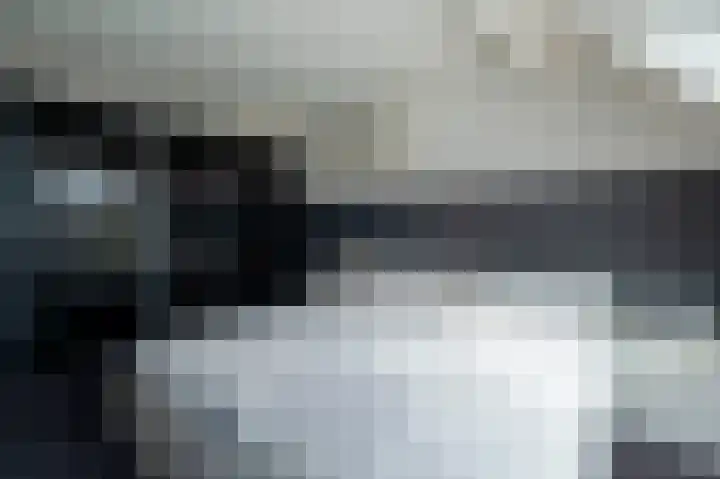 Het Korbeel 8 Borger thumbnail 15