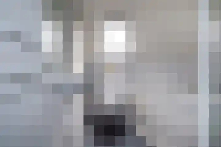 Het Korbeel 8 Borger thumbnail 16