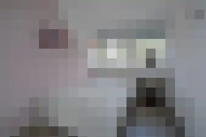 Het Korbeel 8 Borger thumbnail 21