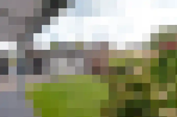 Het Korbeel 8 Borger thumbnail 25