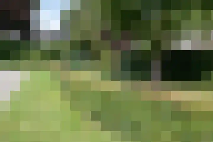 Het Korbeel 8 Borger thumbnail 28