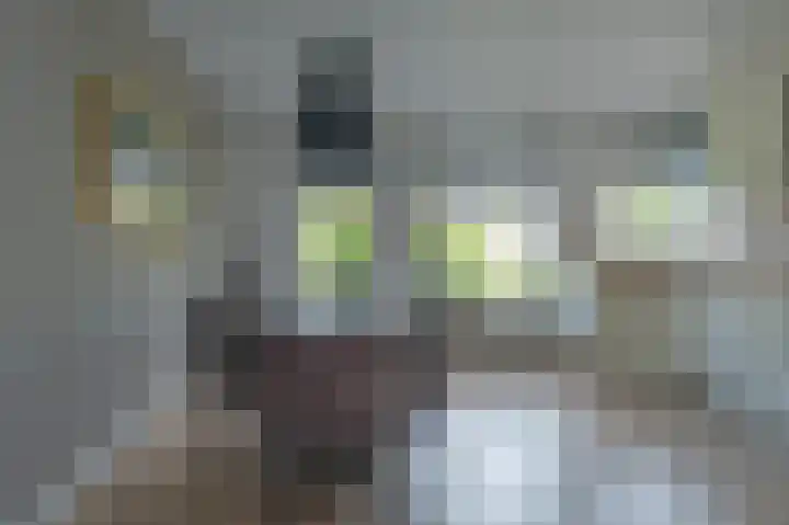 Het Korbeel 8 Borger thumbnail 4