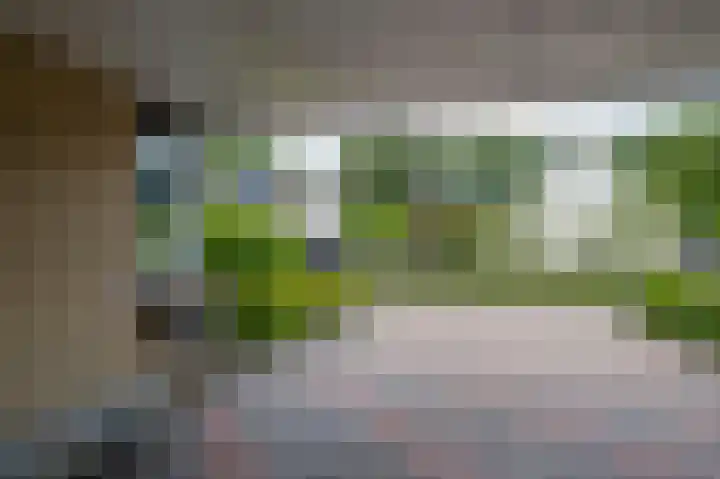 Het Korbeel 8 Borger thumbnail 6