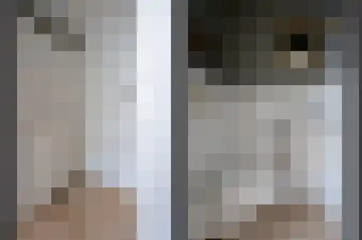 Het Korbeel 8 Borger thumbnail 7