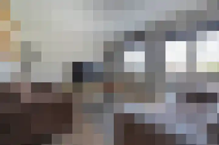 Het Korbeel 8 Borger thumbnail 8