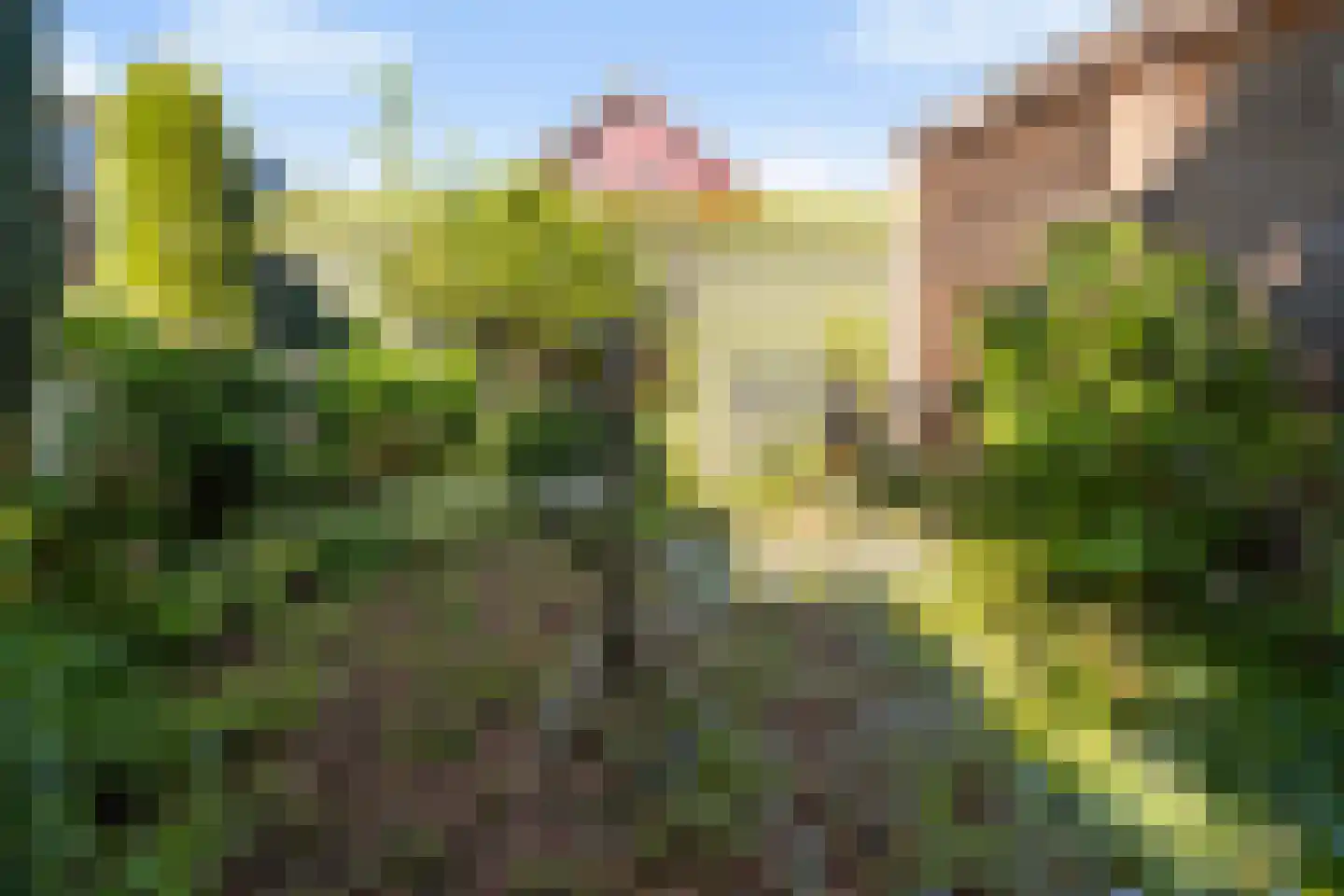 Het Korhoen 18 Dronten thumbnail 17