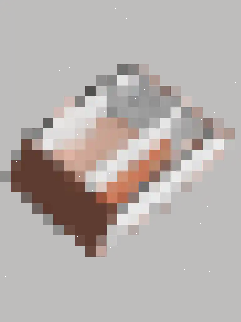 Het Korhoen 18 Dronten thumbnail 30