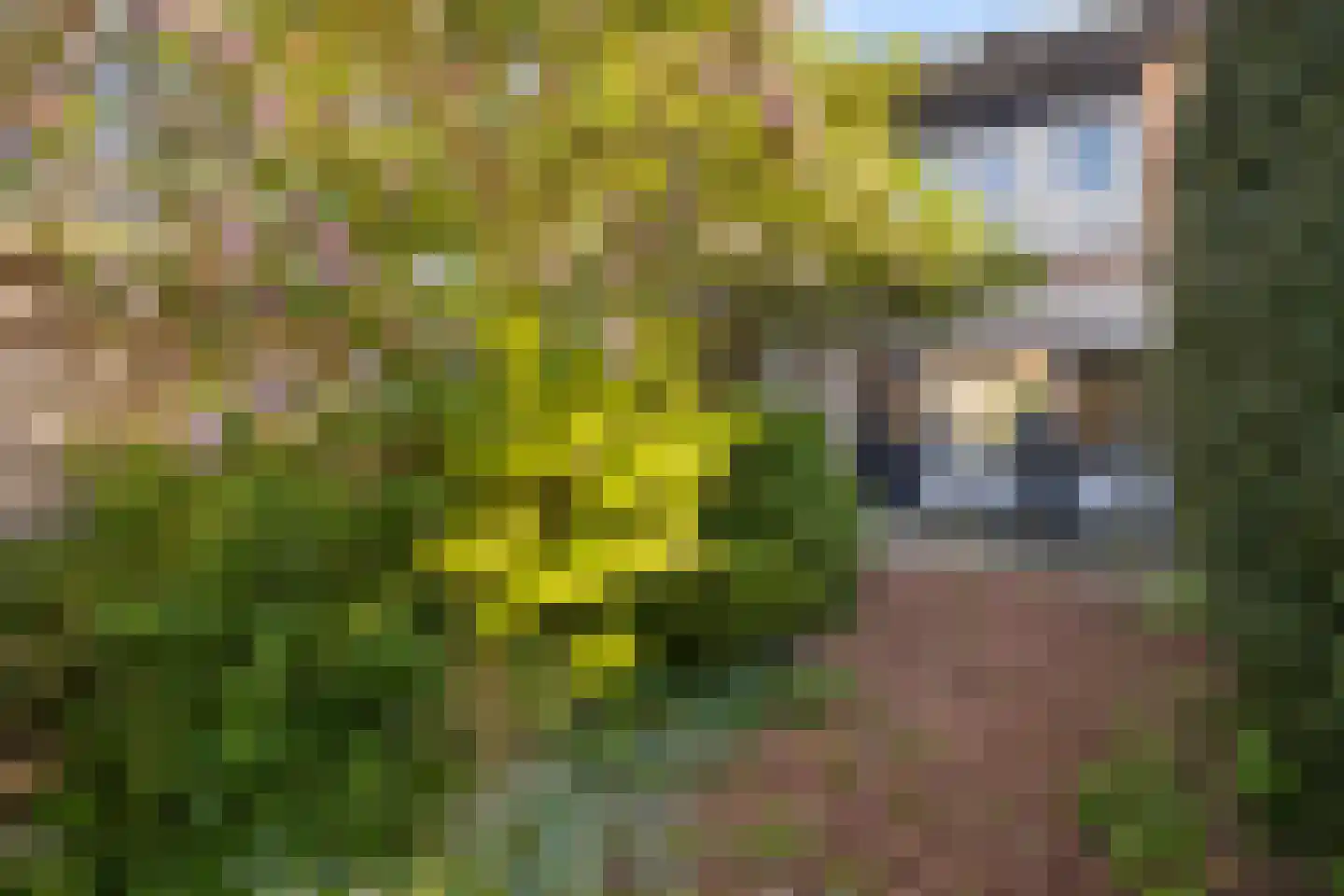Het Korhoen 18 Dronten thumbnail 4