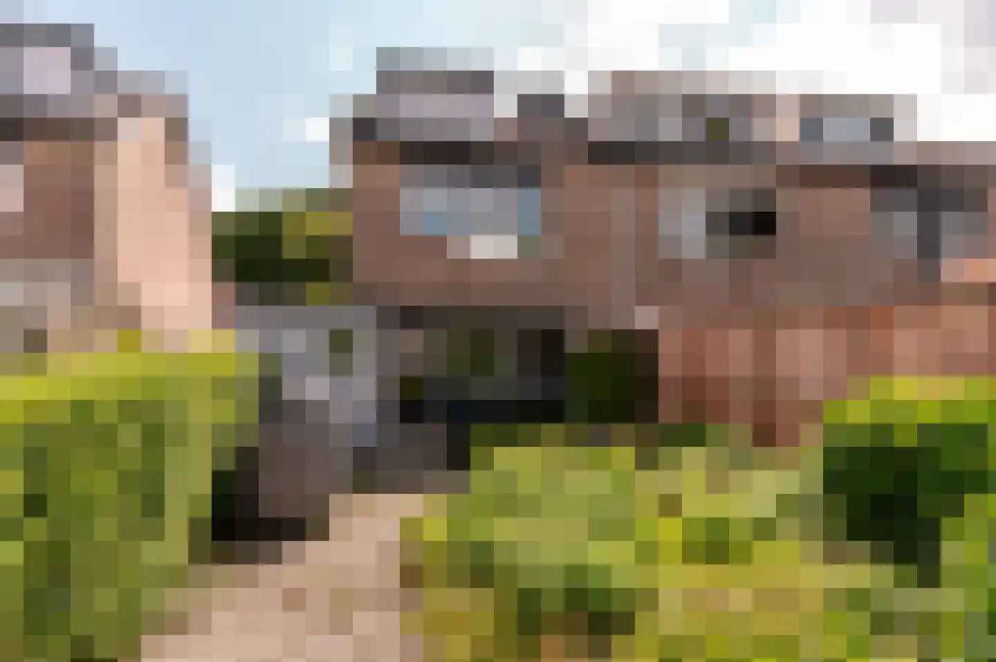 Het Korhoen 22 Dronten thumbnail 32
