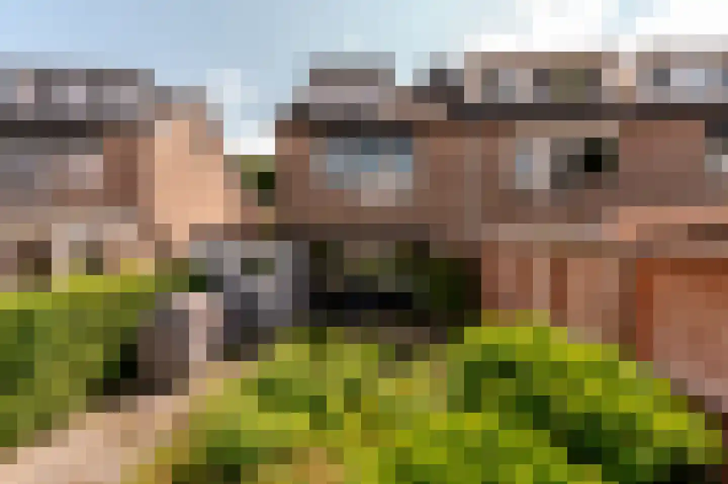 Het Korhoen 22 Dronten thumbnail 33