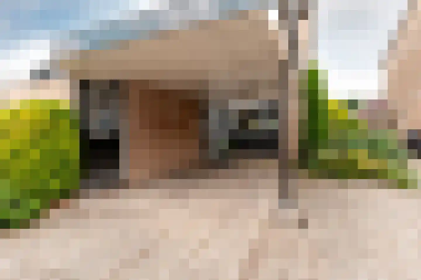 Het Korhoen 22 Dronten thumbnail 35