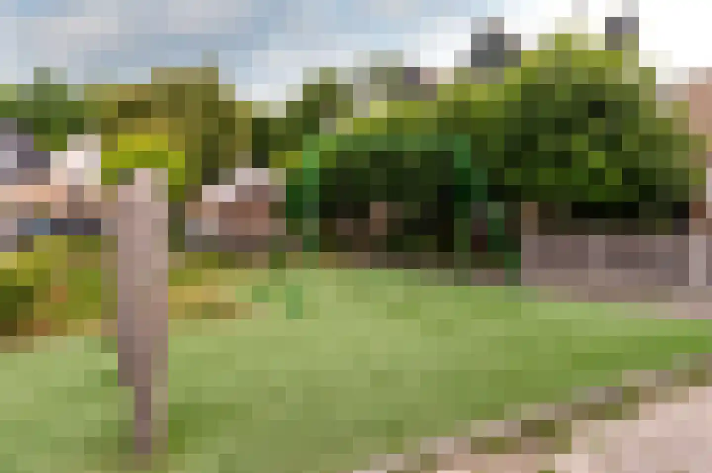 Het Korhoen 22 Dronten thumbnail 39