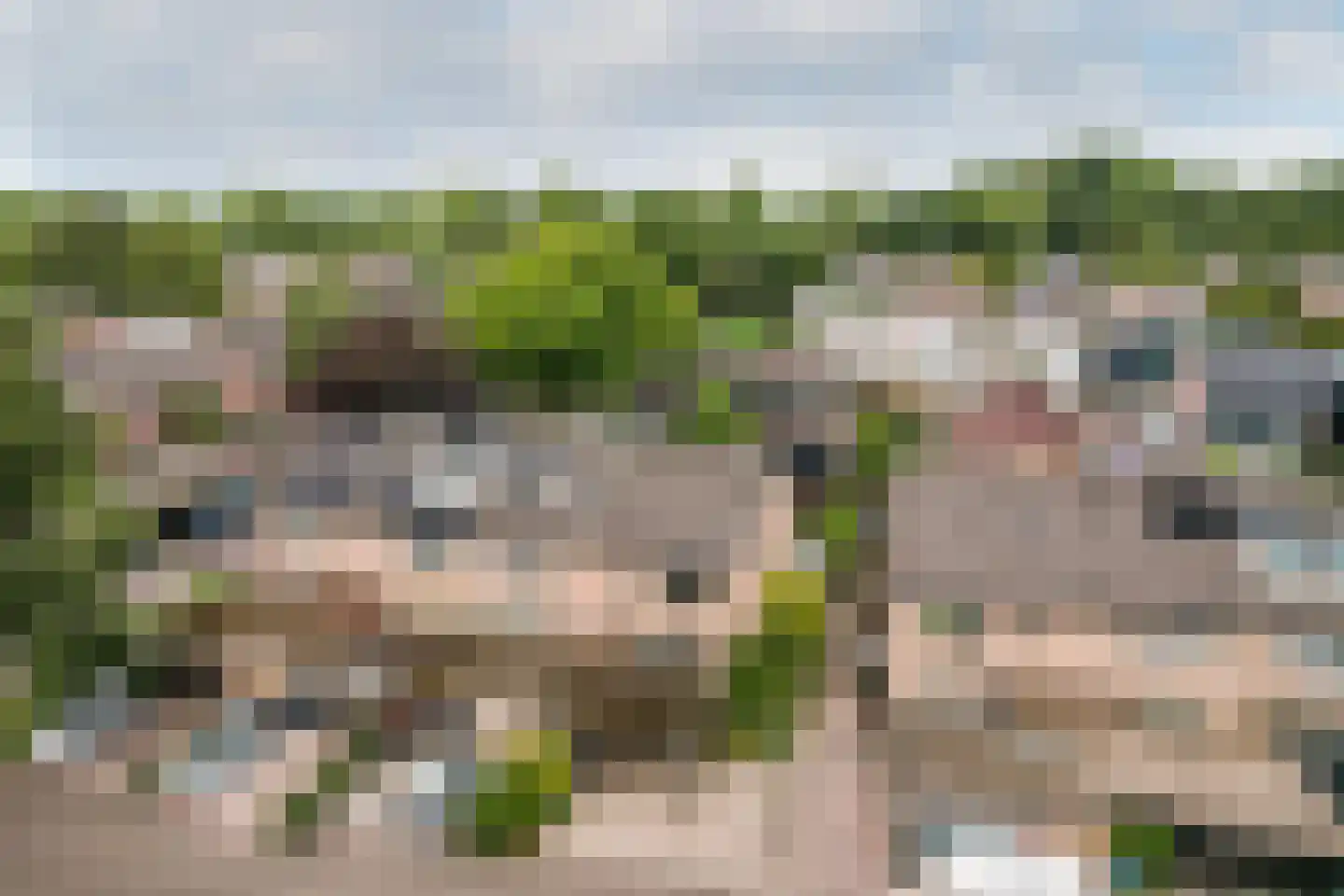 Het Korhoen 22 Dronten thumbnail 41