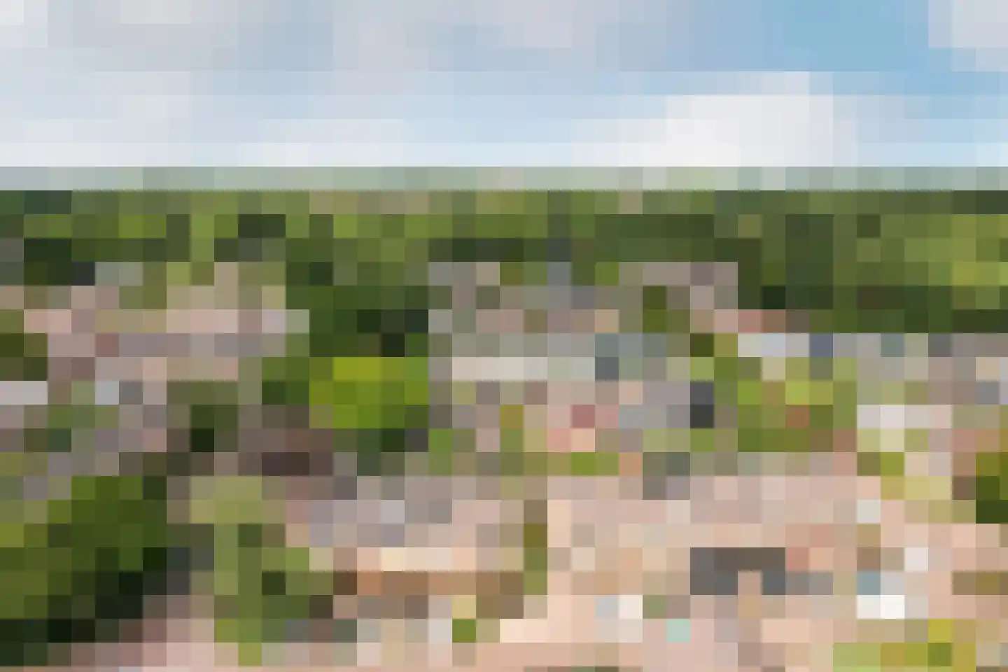 Het Korhoen 22 Dronten thumbnail 43