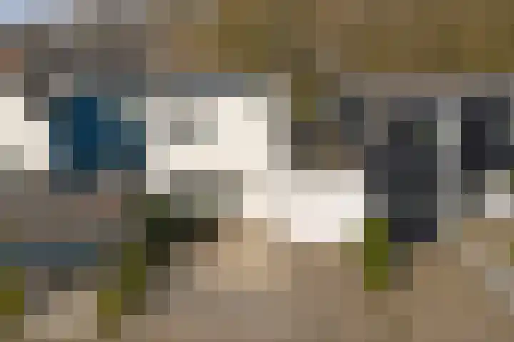 Het Korhoen 27 Dronten thumbnail 28