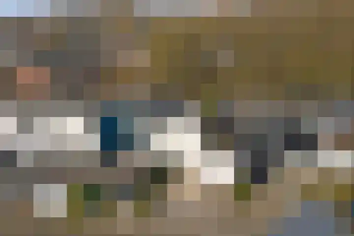 Het Korhoen 27 Dronten thumbnail 29