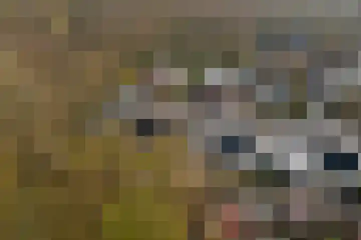 Het Korhoen 27 Dronten thumbnail 30