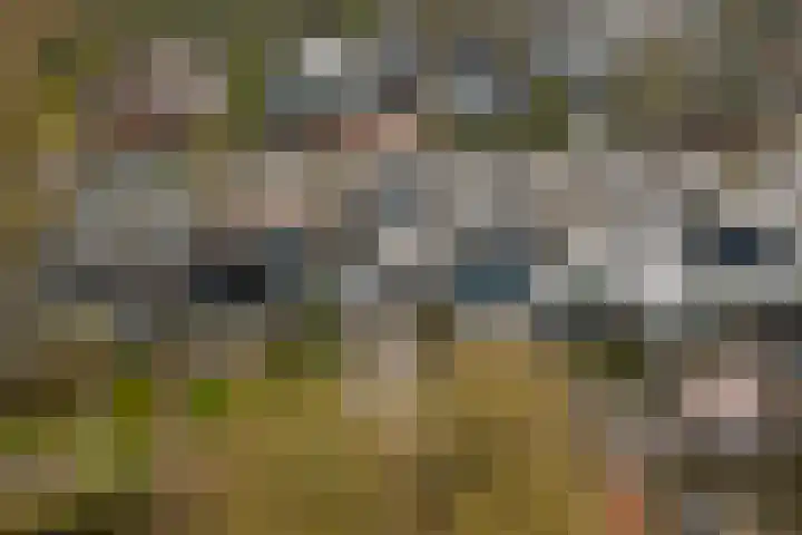 Het Korhoen 27 Dronten thumbnail 31