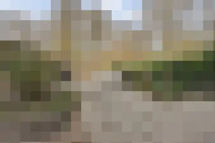 Het Korhoen 27 Dronten thumbnail 33