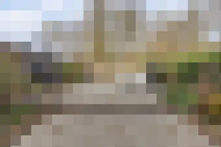 Het Korhoen 27 Dronten thumbnail 34