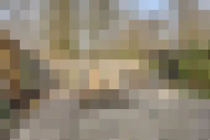 Het Korhoen 27 Dronten thumbnail 35