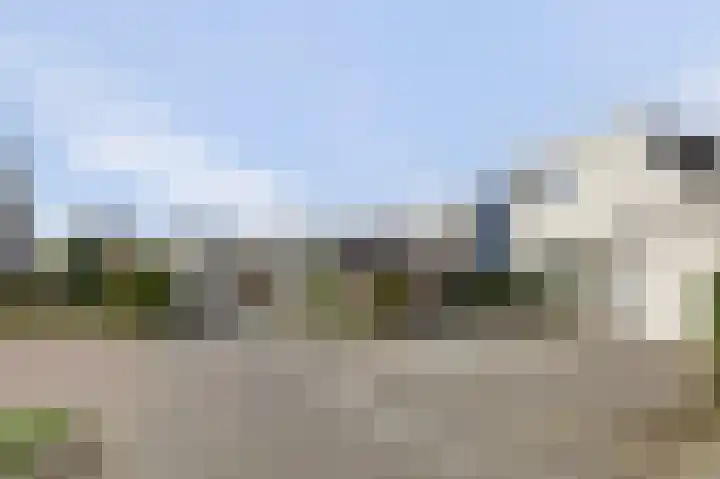 Het Korhoen 27 Dronten thumbnail 37