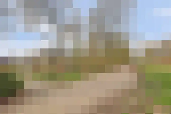Het Korhoen 27 Dronten thumbnail 39